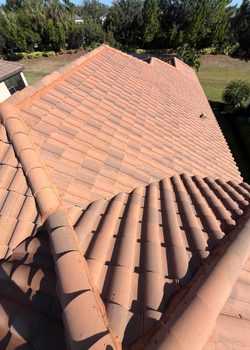 Detail of a clean tile roof after a professional soft wash service in Sarasota.